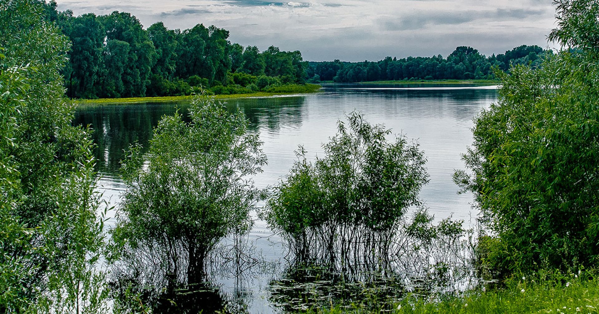 Фото Озера Новосибирска